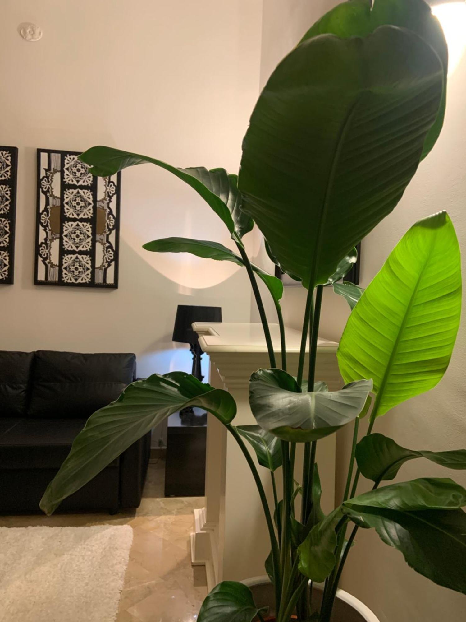 Bari Downtown Luxury Apartment Luaran gambar